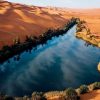 واحة الأمس واحة الأمس