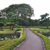 حديقة امبيريال بالاس (Imperial Palace East Gardens) حديقة امبيريال بالاس (Imperial Palace East Gardens)