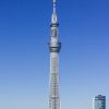 برج سكاي تري (Skytree) برج سكاي تري (Skytree)