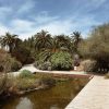 حديقة نباتات برشلونة حديقة نباتات برشلونة