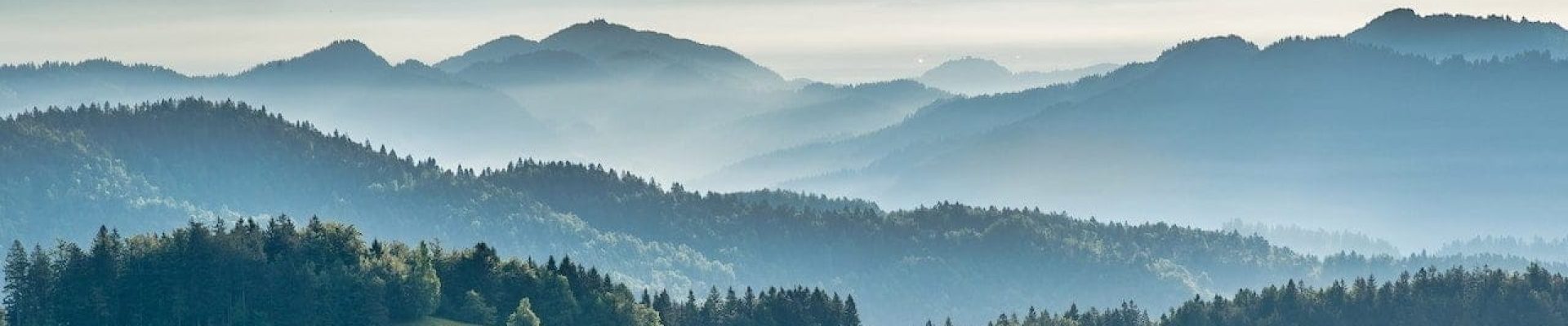 pexels-krivec-ales-580151